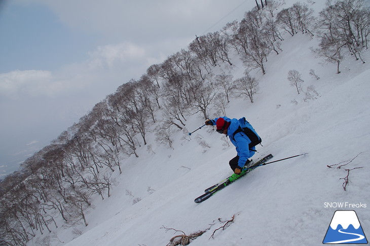 DYNASTAR SKI series Test Ride Days 2017 in ニセコユナイテッド【Day.2】～ニセコグラン・ヒラフ～